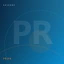 Avatar monogram for Priya Raghavan, Principal Engineer at Avednex