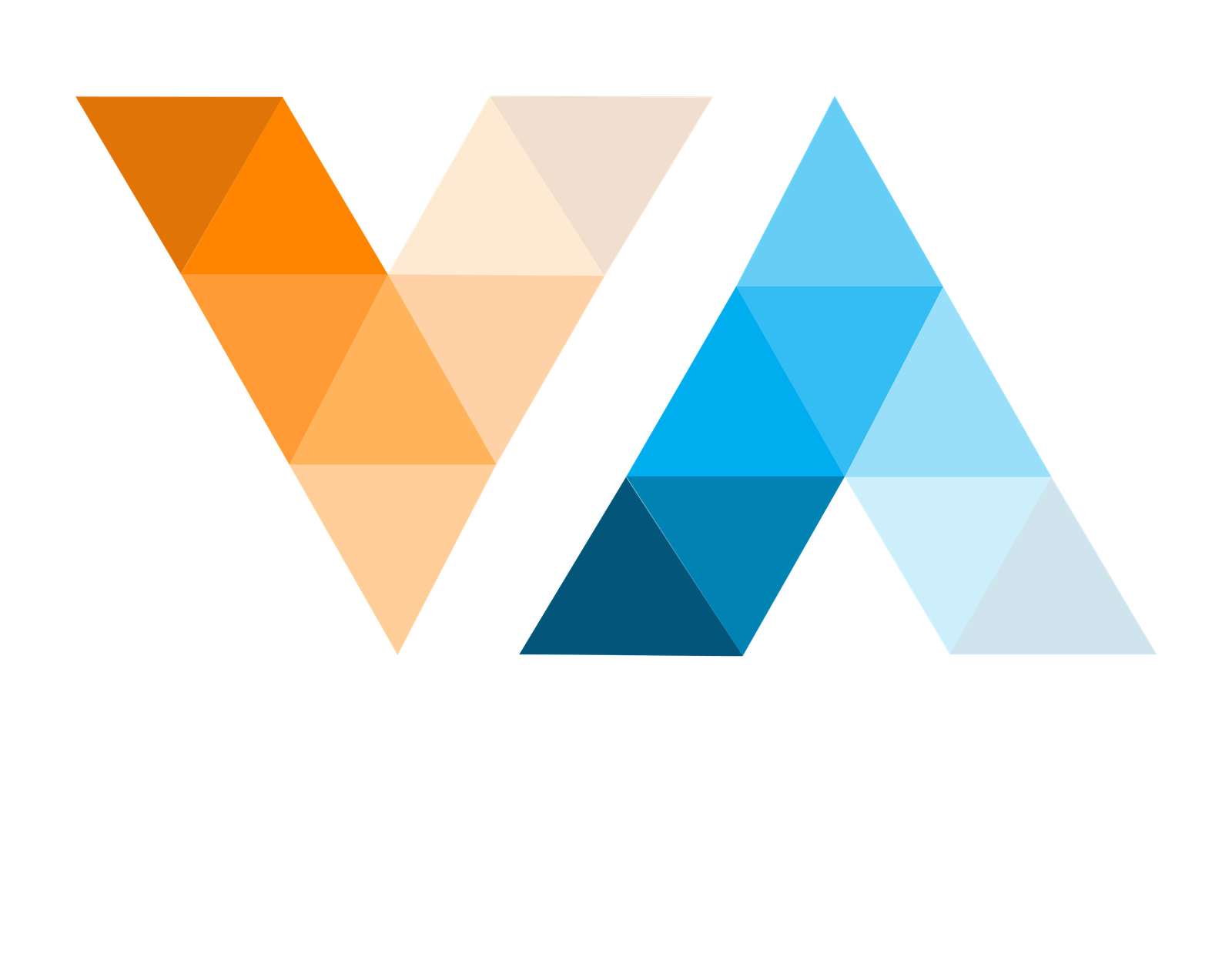 AVEDNEX Logo